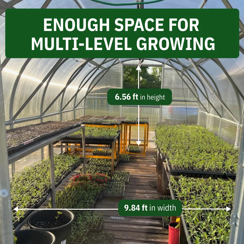 World's Most Popular Polycarbonate Greenhouse 13ft